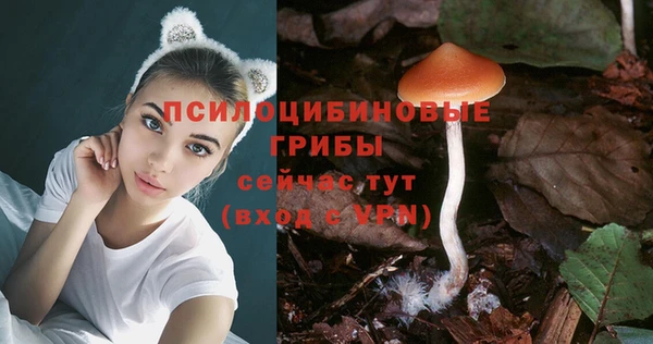 PSILOCYBIN Покачи