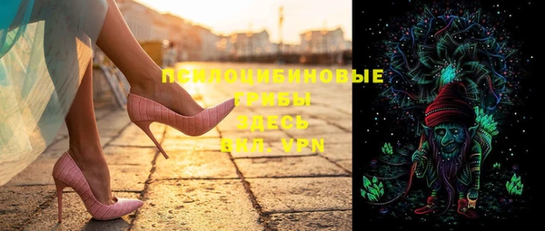 PSILOCYBIN Покачи