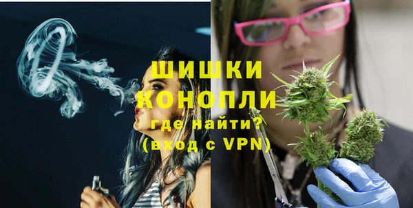 PSILOCYBIN Покачи