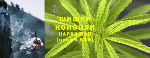PSILOCYBIN Покачи