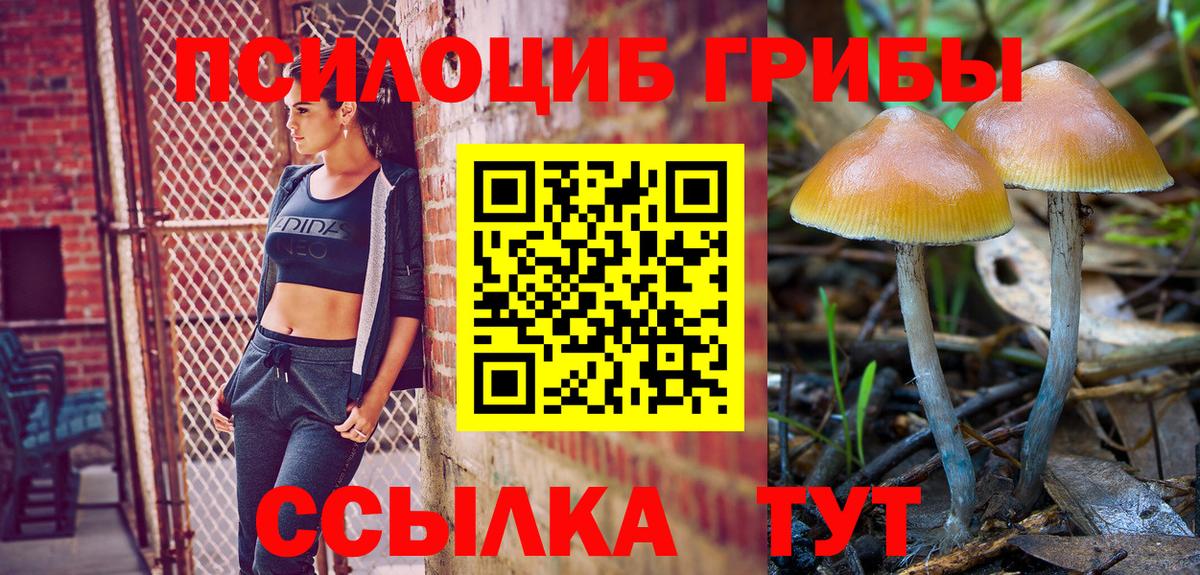 Новомосковск  где продают   Вход с VPN  Псилоцибиновые грибы Psilocybe 
