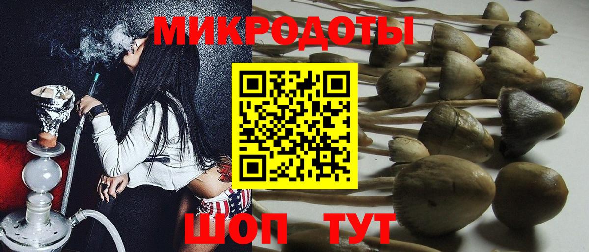 Галлюциногенные грибы Psilocybine cubensis Новомосковск