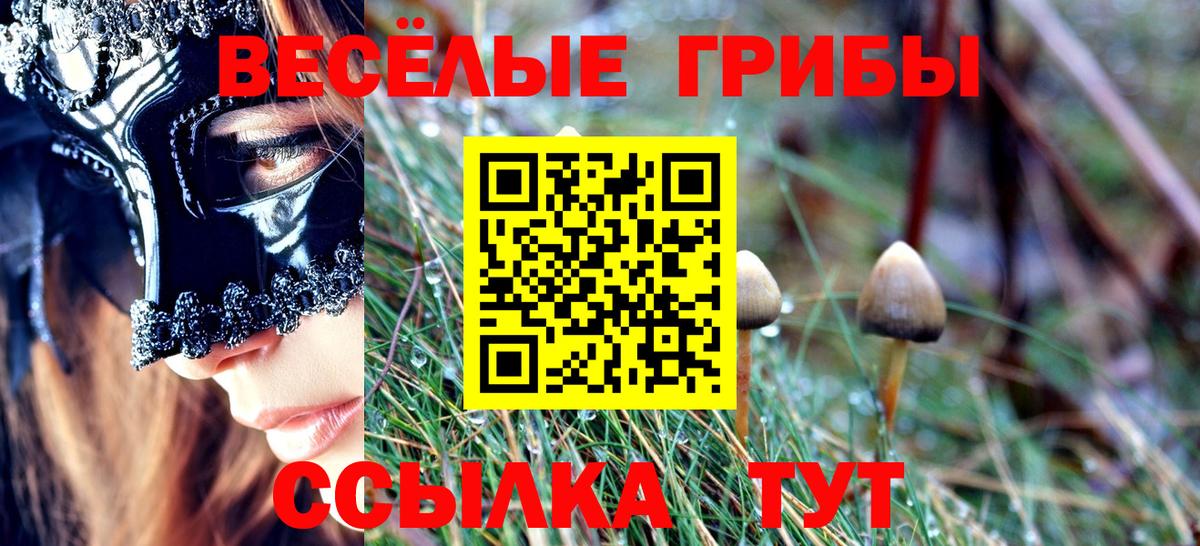 Псилоцибиновые грибы Psilocybine cubensis  Новомосковск 