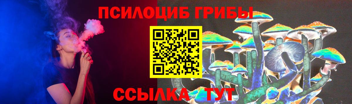 Псилоцибиновые грибы GOLDEN TEACHER Новомосковск