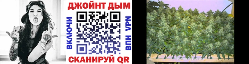 МЕГА как зайти  Новомосковск  Шишки марихуана THC 21% 